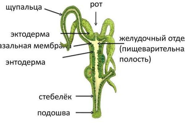 Вы забанены на меге что делать