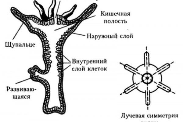 Закрытие блэкспрут