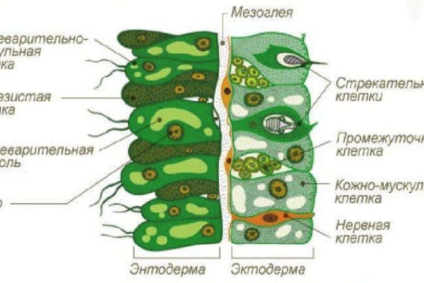 Кто создал кракен