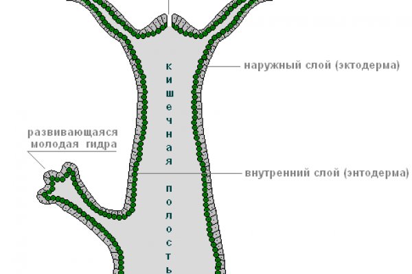 Правильная ссылка на mega копировать