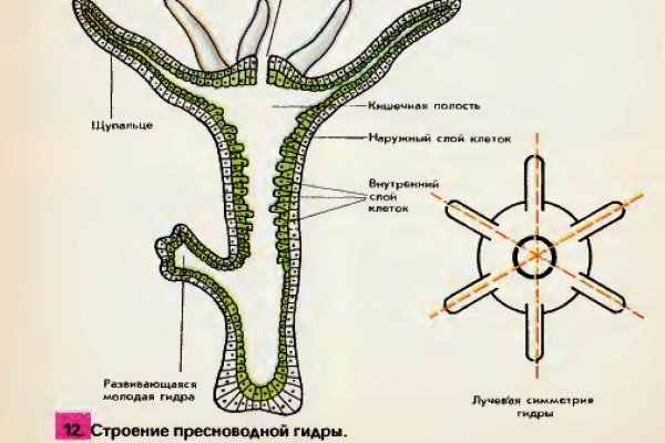 Омг онион все о параллельном