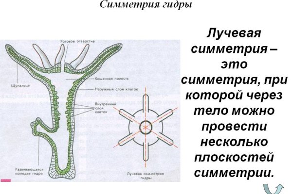 Купить наркотики через